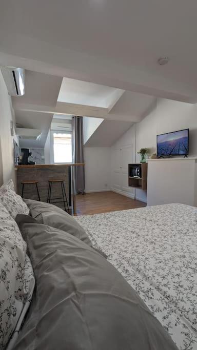 2E Grand Studio Agen Hyper Centre - Clim - Jacobins Eksteriør billede